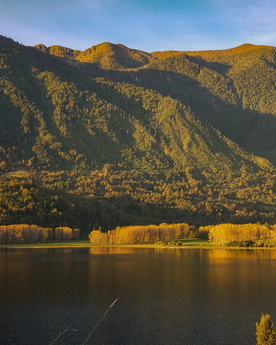 Ladera de bosque nativo en colores de otoño reflejada en un lago del sur de Chile.