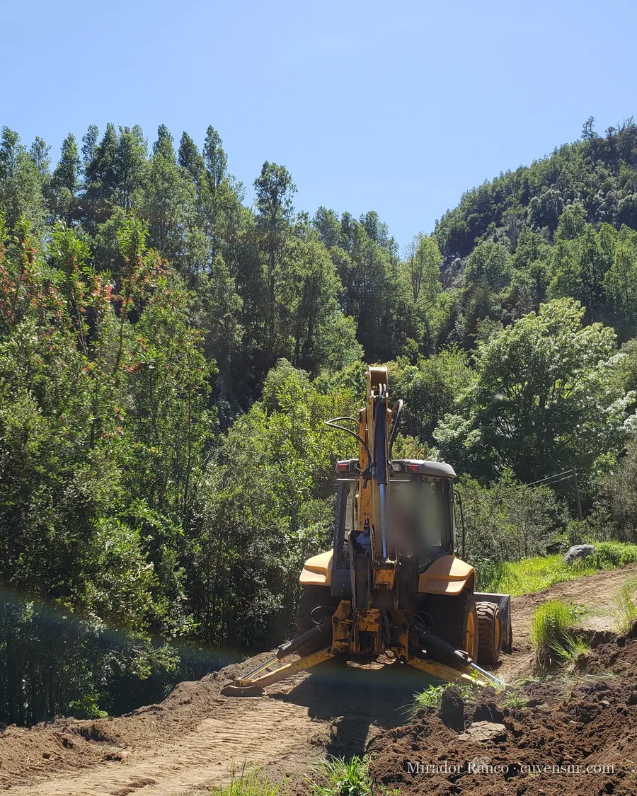 Retroexcavadora amarilla abriendo una franja de tierra en una ladera con bosque nativo, a pleno sol.