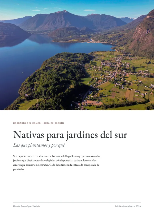 Portada de la guía Nativas para jardines del sur: un lago entre cerros del sur de Chile