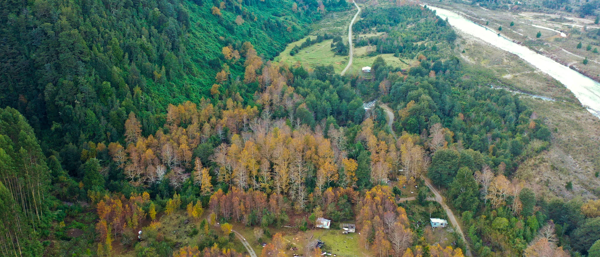 Vista aérea de un valle del sur de Chile en otoño: el río serpentea entre bosque nativo y praderas, bajo un cielo cubierto.