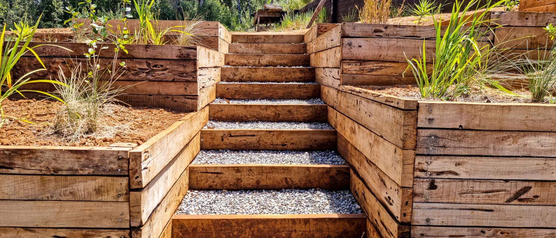 Terrazas de madera con escalera central y plantas nativas jóvenes, en un jardín urbano con pendiente.