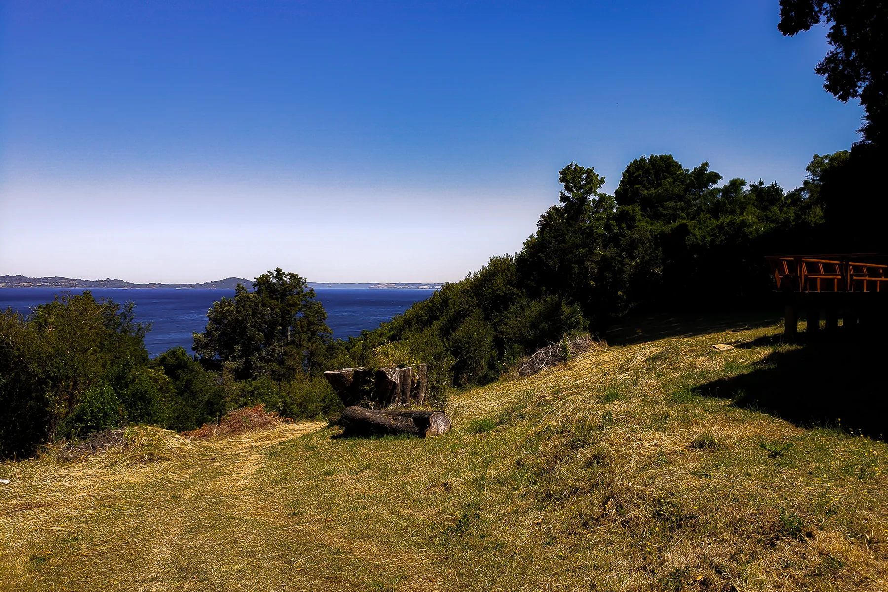 Ladera de pradera con bosque nativo y el lago al fondo, en un predio de Llifén.
