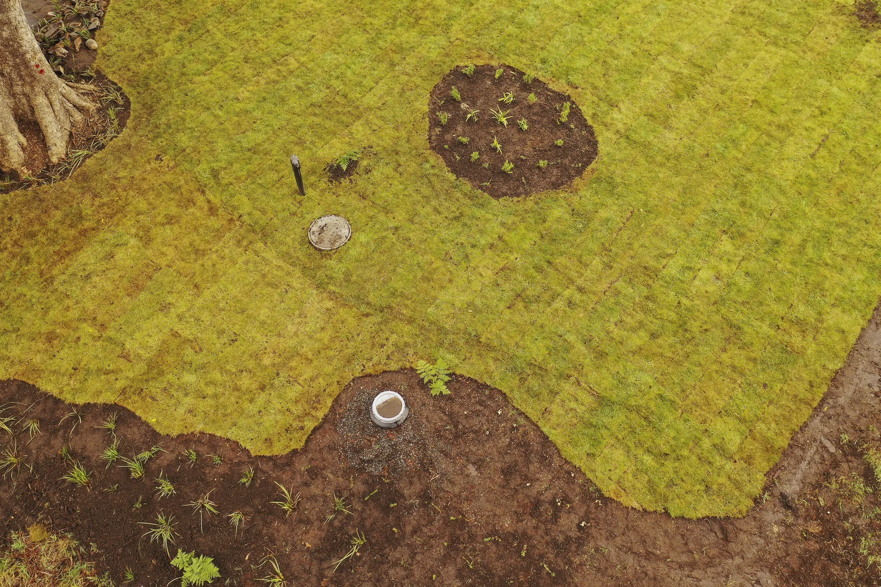 Vista aérea de una pradera recién sembrada con los macizos de plantación marcados en tierra.