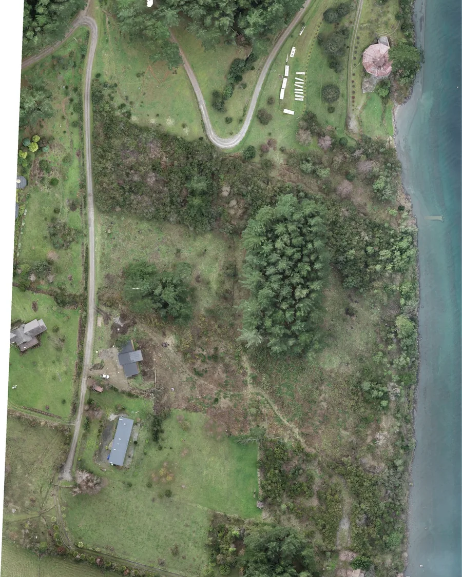 Ortofoto de una ladera entre el camino y el lago, tomada en un vuelo de 2023, en nivel reducido y sin coordenadas.