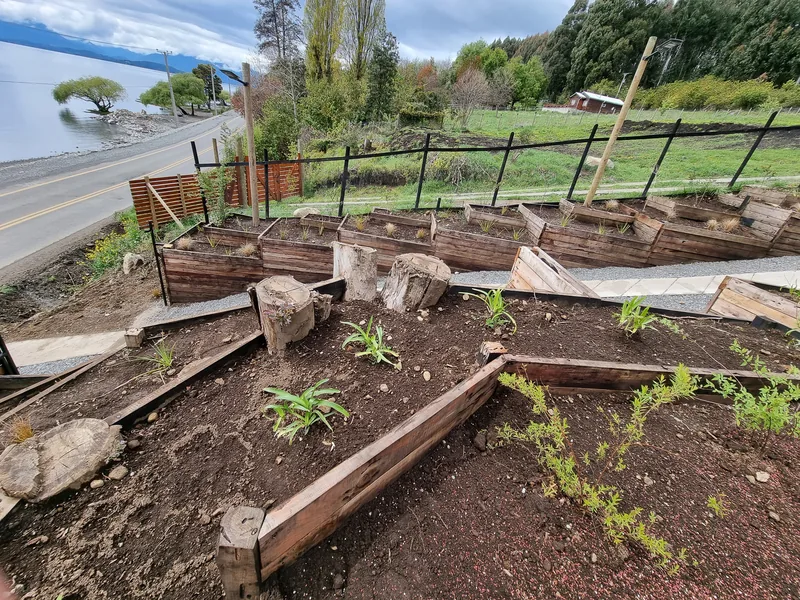 Terrazas con muros de madera y plantas jóvenes bajando en diagonal hacia el lago.