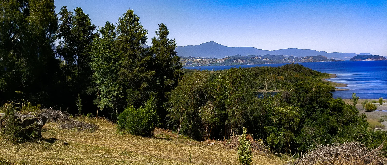 Claro de pasto entre árboles, abierto al lago y a la cordillera bajo cielo azul.