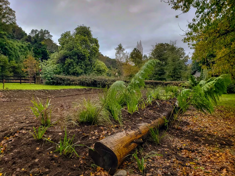 Tronco caído junto a una terraza plantada, con el pasto al fondo.