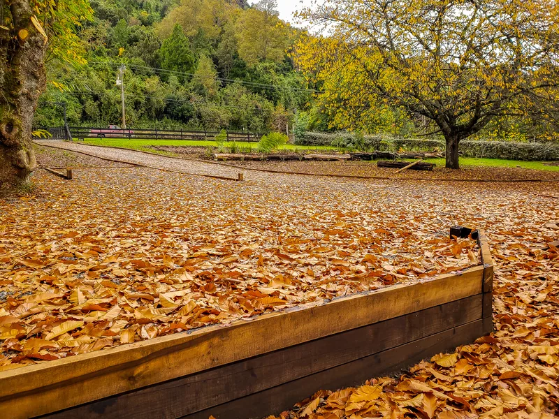 Terrazas bajas con borde de madera cubiertas de hojas, entre árboles de otoño.
