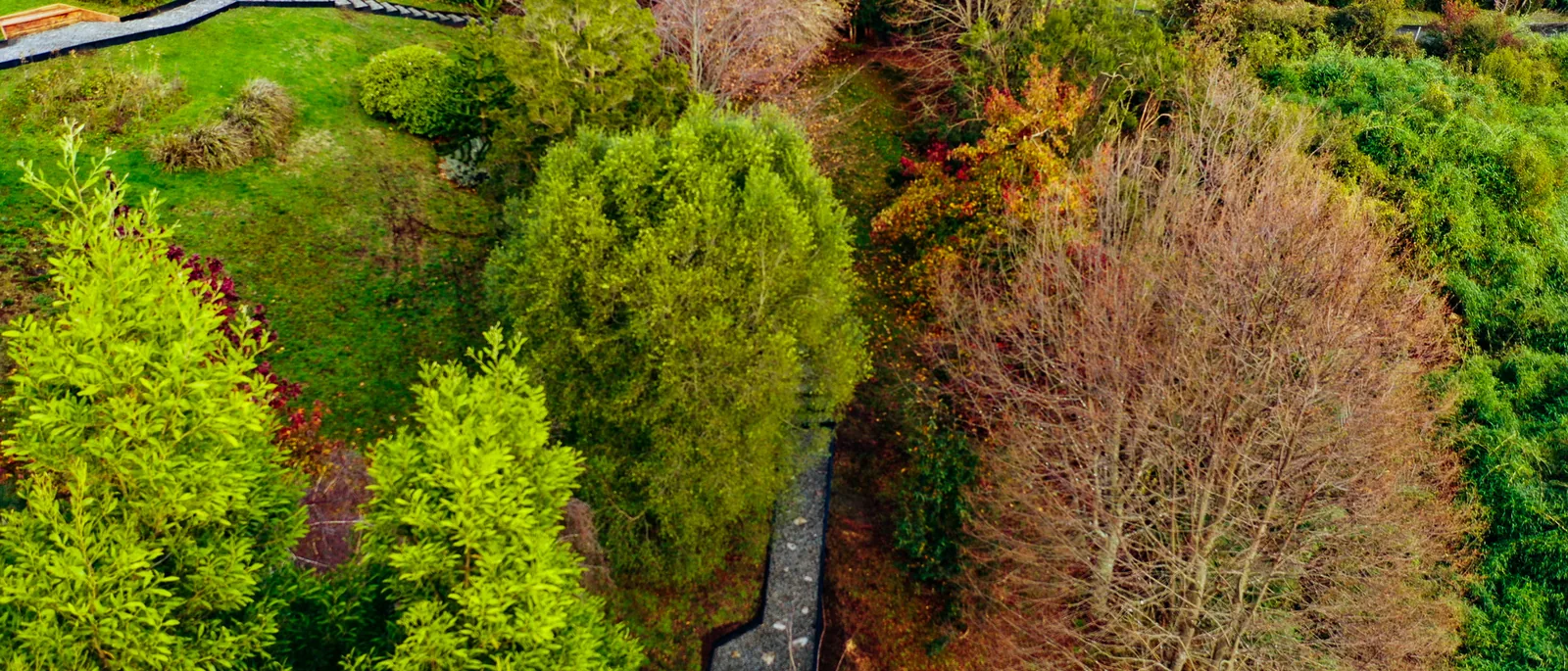Vista aérea de un sendero de piedra entre árboles de otoño, en un parque.
