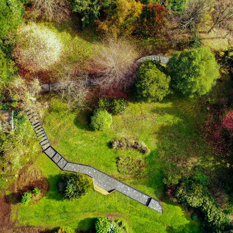 Sendero serpenteante visto desde el aire, entre bosque y prado.