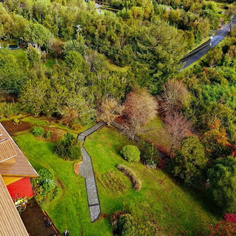 Sendero de piedra visto desde el aire, entre árboles y prado.