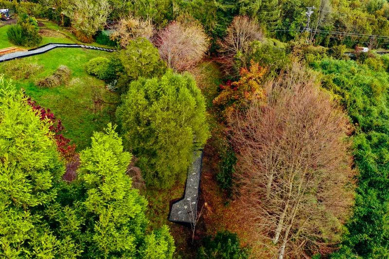 Árboles de otoño en tonos cobre y verde vistos desde arriba, con el sendero al borde.
