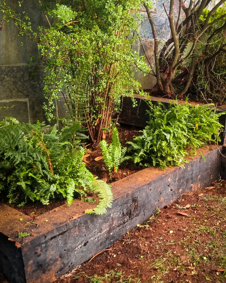 Macizo con borde de durmientes de madera y plantas nativas junto a un muro.