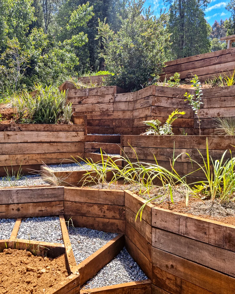 Terrazas de madera con escalera y plantas nativas en un jardín urbano terminado.